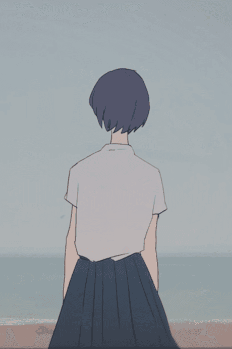 Heliotrope cover