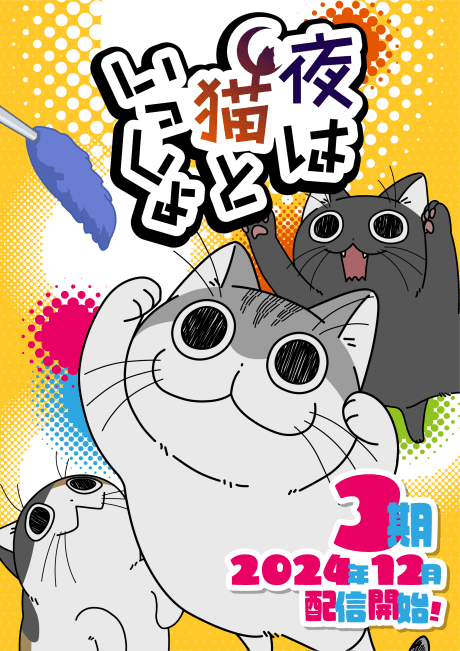 Nights with a Cat Season 3 cover