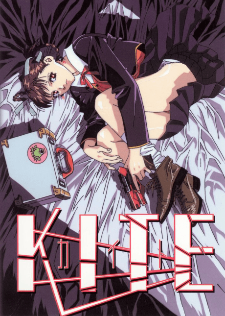 Kite cover