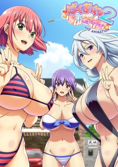 Baku Ane 2: Otouto Ippai Shibocchau zo! THE ANIMATION cover