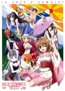 Is this a Zombie? OVA cover