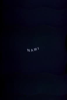 Nami cover