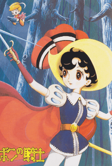 Princess Knight cover