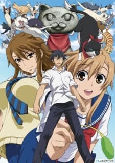 Nyan Koi! cover