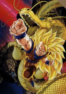 Dragon Ball Z: Wrath of the Dragon cover